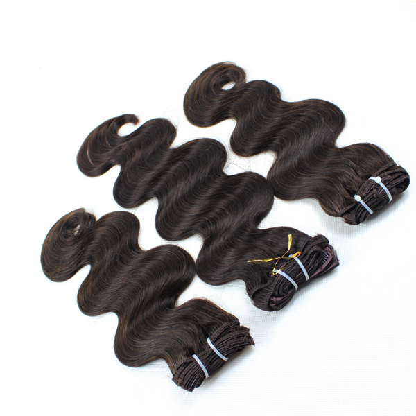 Real hair extensions clip in